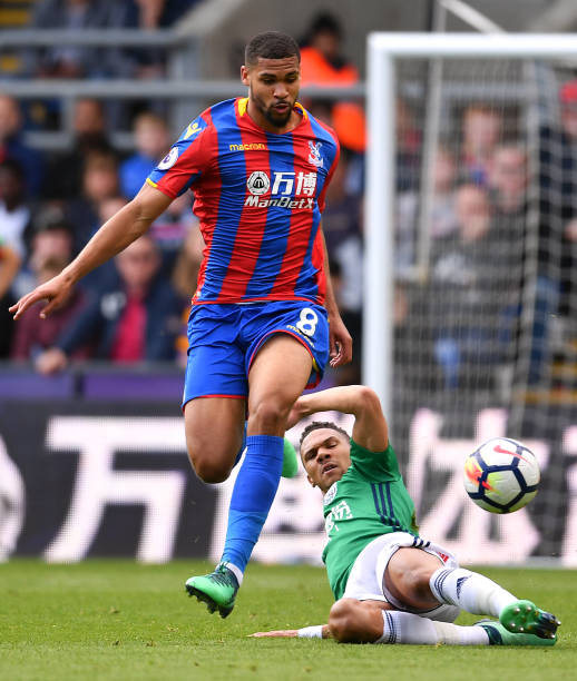 体育爱好者 体育爱好者