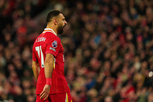 仅直接决定 仅直接决定