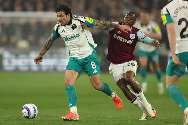 化商业开发 化商业开发